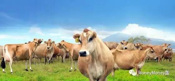 身在漩涡中的辉山到底怎么了？