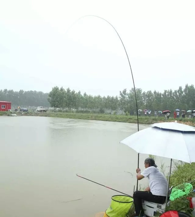 黑坑秋冬季草鳊青通杀饵料搭配,黑坑混养鲫鱼鲤鱼通杀饵料小药