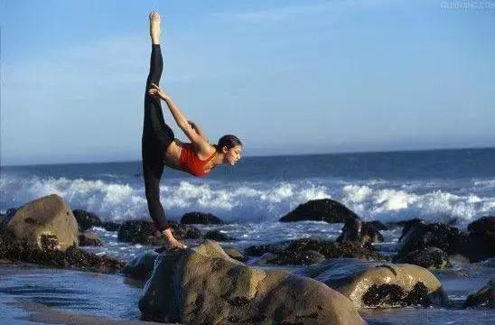 遛狗一年赚200万,帮别人遛狗的一个月可以赚多少