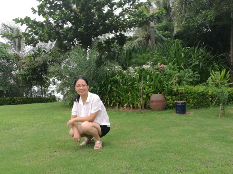 浪在枕边海在目前——海南三亚行