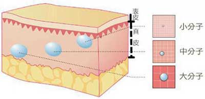 “求美萌宠”玻尿酸的秘密