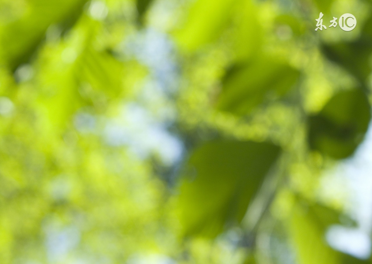 女人要知道的好用单品,女人要知道的好东西