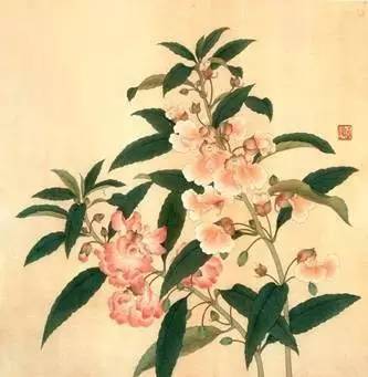 鍗佹寚钄讳腹,鍙や唬鏌撶敳鍘嗗彶