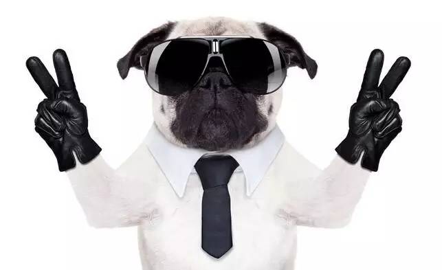 如何挑选360度全景行车记录仪,行车记录仪内存卡怎么挑选