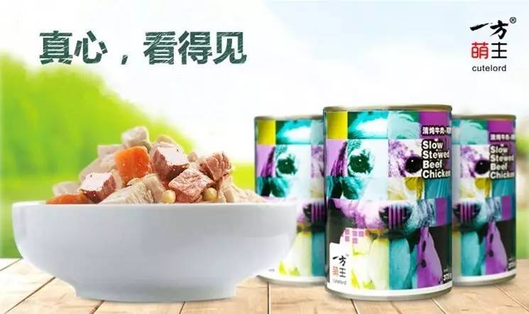 养好一个月大的狗,养好一只狗不容易