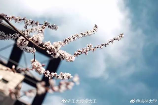 林志玲360无死角是真的美,全球最美360无死角的美女