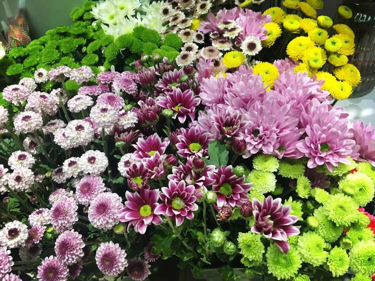 北新桥卤煮老店大众点评,北新桥卤煮老字号