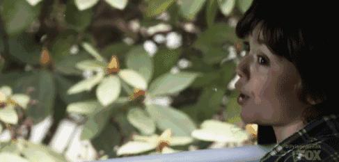 越狱第五季完整解析,越狱第五季未删减版免费观看