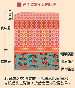 玻尿酸有什么作用,你知道玻尿酸多少一公斤吗