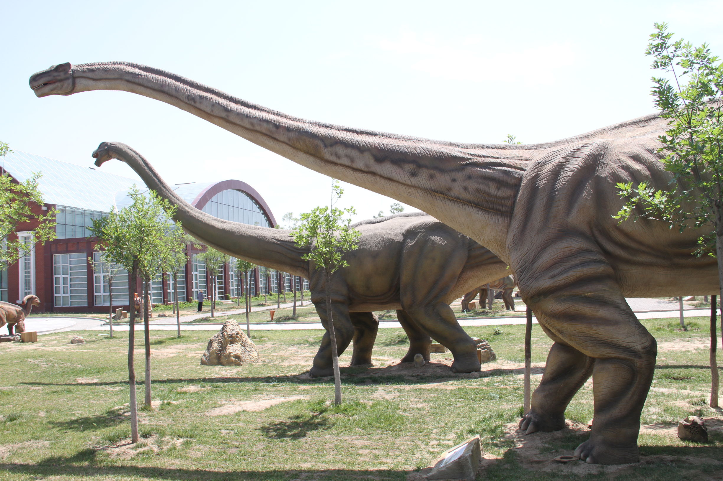 天津光合谷游乐场,天津光合谷游玩攻略