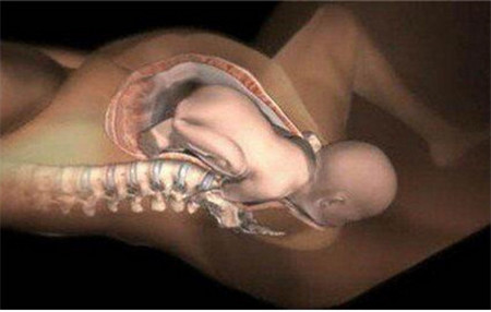 胎儿已入盆的5个征兆是什么,为什么有的胎儿入盆早有的入盆晚