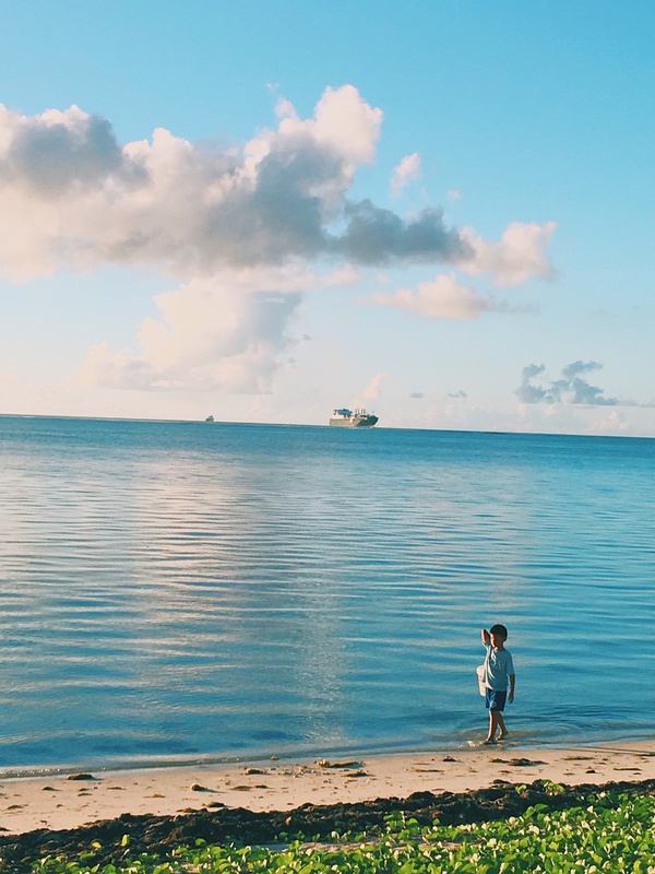 春季手机摄影大赛,摄影有哪些大赛