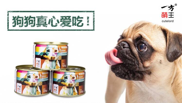 养好一个月大的狗,养好一只狗不容易