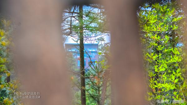 莫干山网红民宿裸心谷的山野秘境,莫干山裸心谷民宿价格