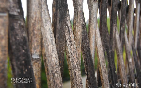 莫干山网红民宿裸心谷的山野秘境,莫干山裸心谷民宿价格