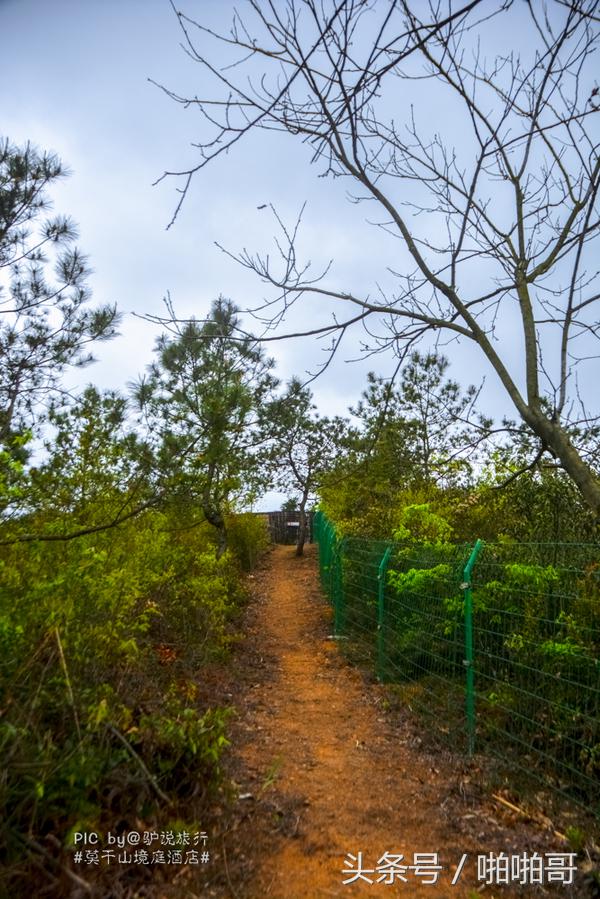 莫干山网红民宿裸心谷的山野秘境,莫干山裸心谷民宿价格
