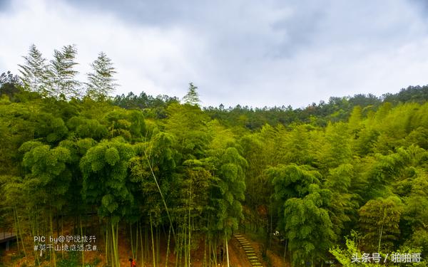 莫干山网红民宿裸心谷的山野秘境,莫干山裸心谷民宿价格