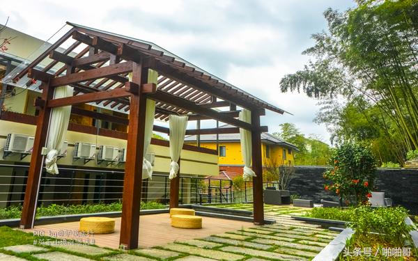 莫干山网红民宿裸心谷的山野秘境,莫干山裸心谷民宿价格