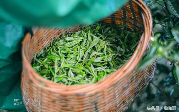 莫干山网红民宿裸心谷的山野秘境,莫干山裸心谷民宿价格