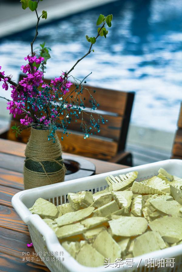 莫干山网红民宿裸心谷的山野秘境,莫干山裸心谷民宿价格