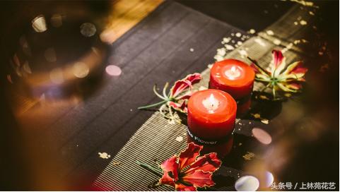 朱永安花艺大师,花艺大师朱永安