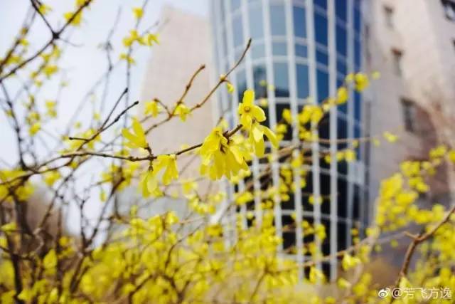 林志玲360无死角是真的美,全球最美360无死角的美女