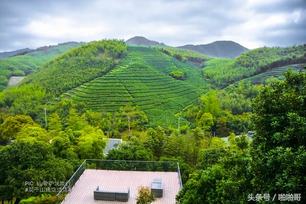 莫干山网红民宿裸心谷的山野秘境,莫干山裸心谷民宿价格