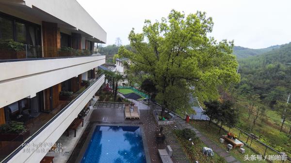 莫干山网红民宿裸心谷的山野秘境,莫干山裸心谷民宿价格