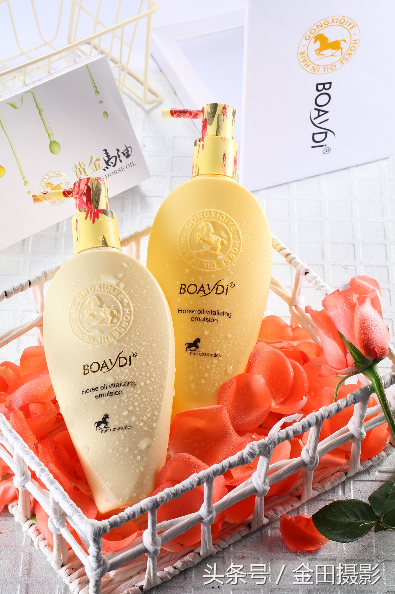 金田旅行摄影,金田摄影证件照