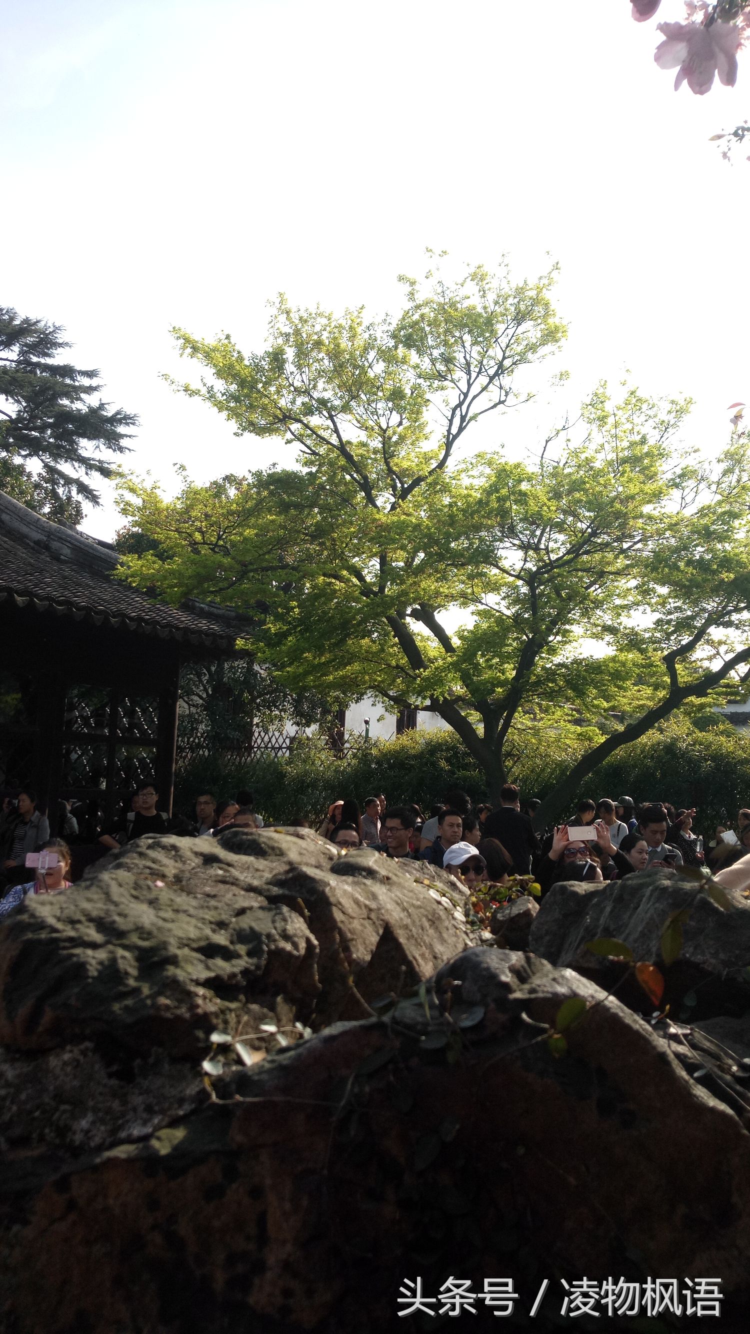 苏州拙政园景点讲解视频大全,苏州拙政园属于哪个区