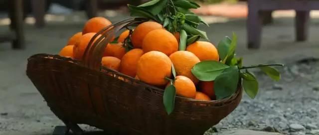 橙中贵族，美味之最：伦晚