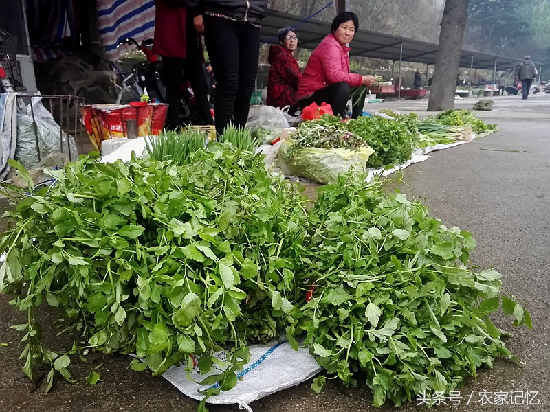 农村老人买野菜,农村卖的野菜