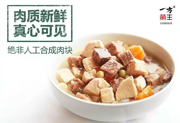 养好一个月大的狗,养好一只狗不容易