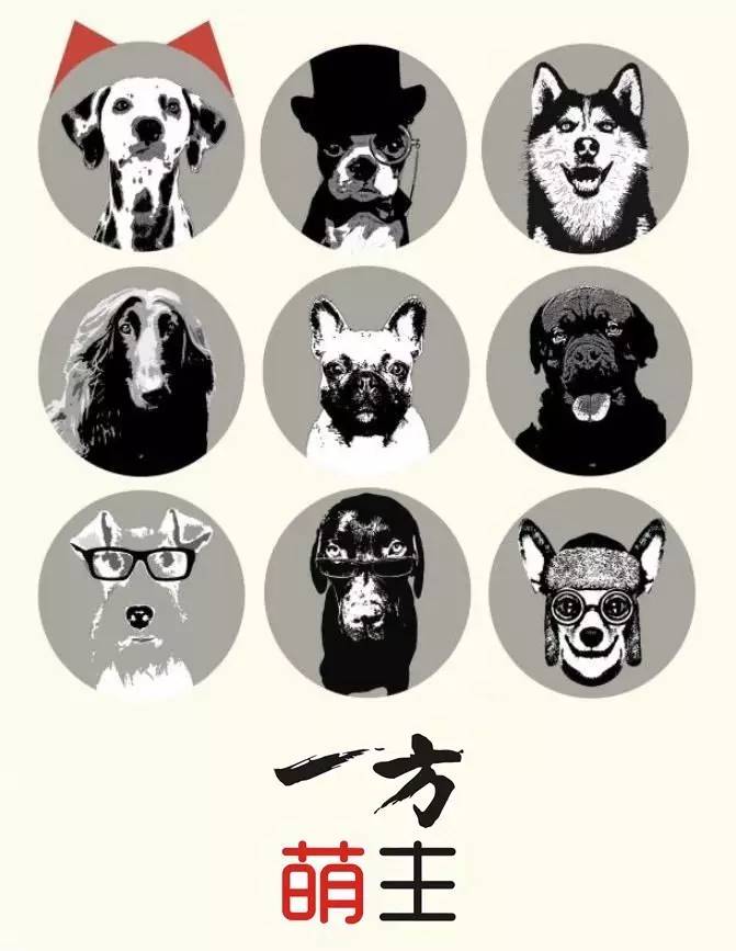 养好一个月大的狗,养好一只狗不容易