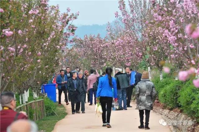 金堂云顶山一日游攻略,金堂旅游攻略一日游价格