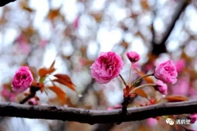 寻找紧急扩散人员名单,紧急寻找紧急扩散