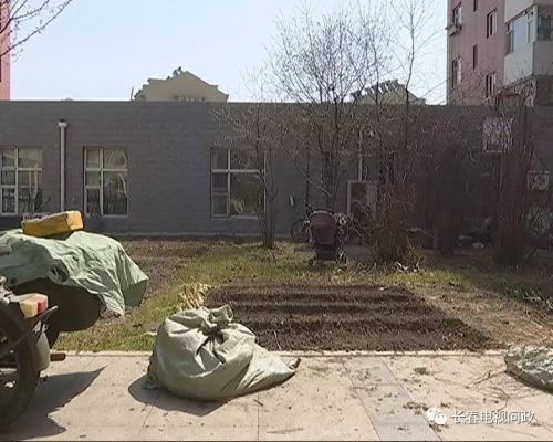长春好景山庄小区、净月新园小区居民圈地种蔬菜最多将被罚三万