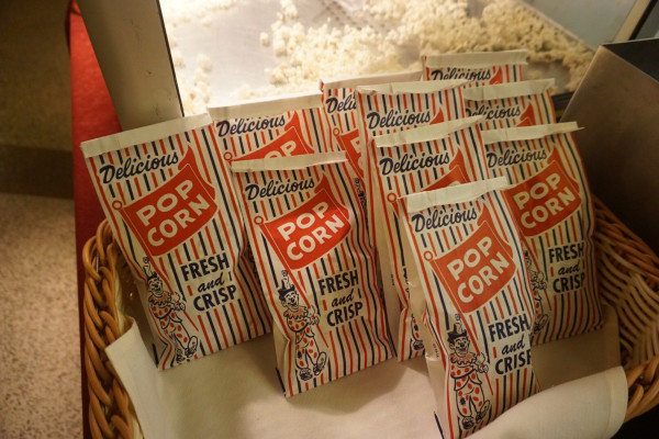 公主号邮轮是什么时间起航的,蓝宝石公主号邮轮收费标准