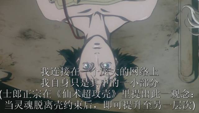 攻壳机动队各版本区别,攻壳机动队2008完整版免费观看