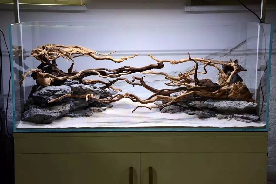 比较好打理的草缸,最适合新手的草缸