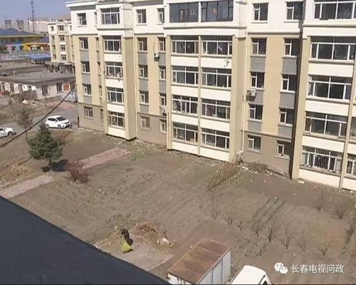 长春好景山庄小区、净月新园小区居民圈地种蔬菜最多将被罚三万