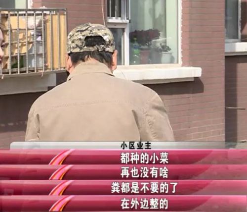 长春好景山庄小区、净月新园小区居民圈地种蔬菜最多将被罚三万