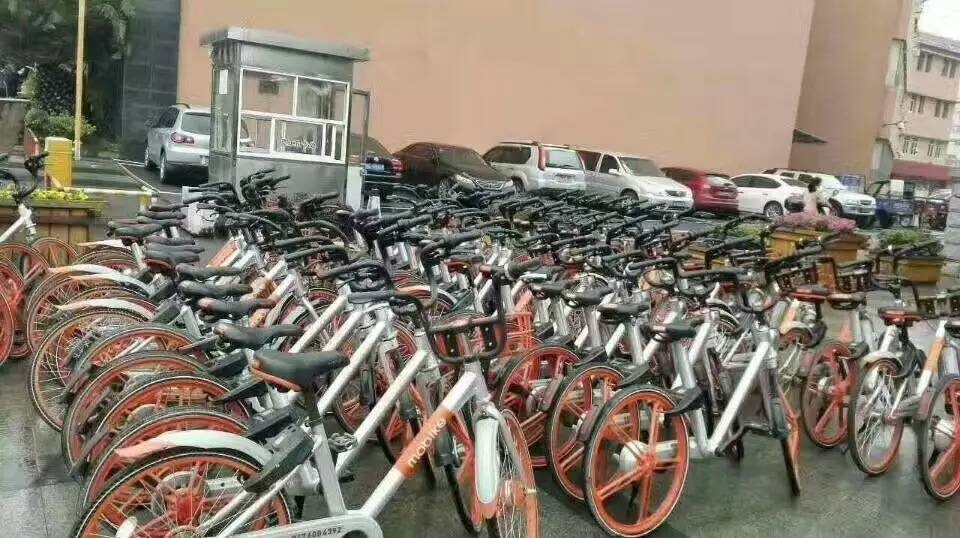 「微读宜昌」牛！枝江这次成了全国第一