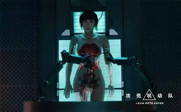 攻壳机动队各版本区别,攻壳机动队2008完整版免费观看