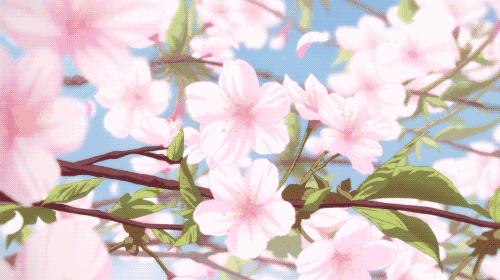 寻找紧急扩散人员名单,紧急寻找紧急扩散