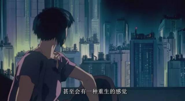 攻壳机动队各版本区别,攻壳机动队2008完整版免费观看