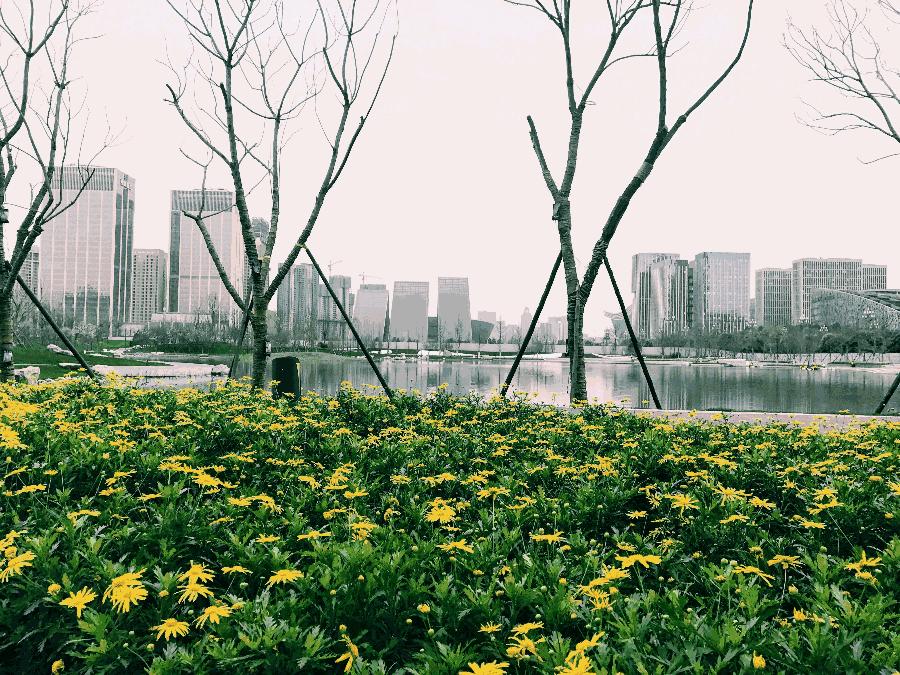 成都ifs对比成都银泰in99,还在留恋前一句