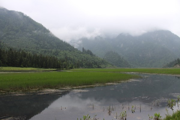 若尔盖红原九寨沟六日游,九寨沟黄龙若尔盖大草原自助游