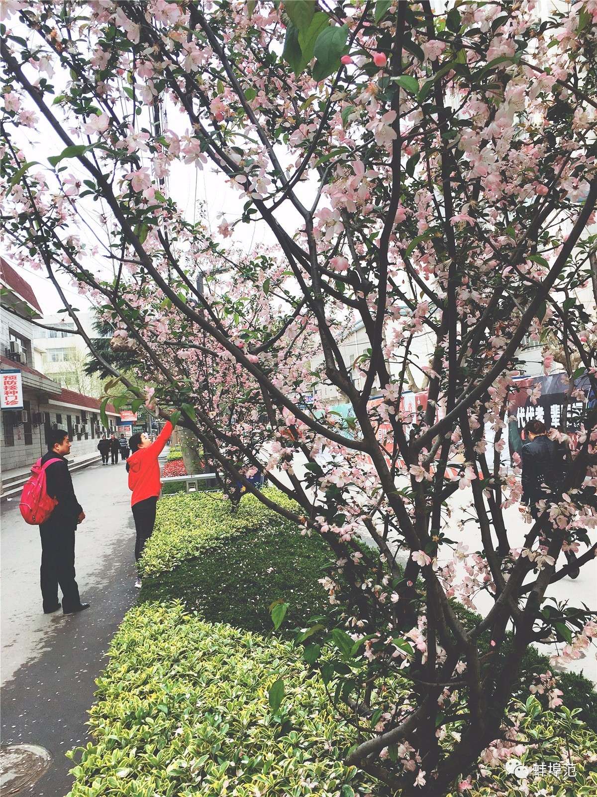 安徽蚌埠最出名的医院,蚌埠淮委医院现在叫什么