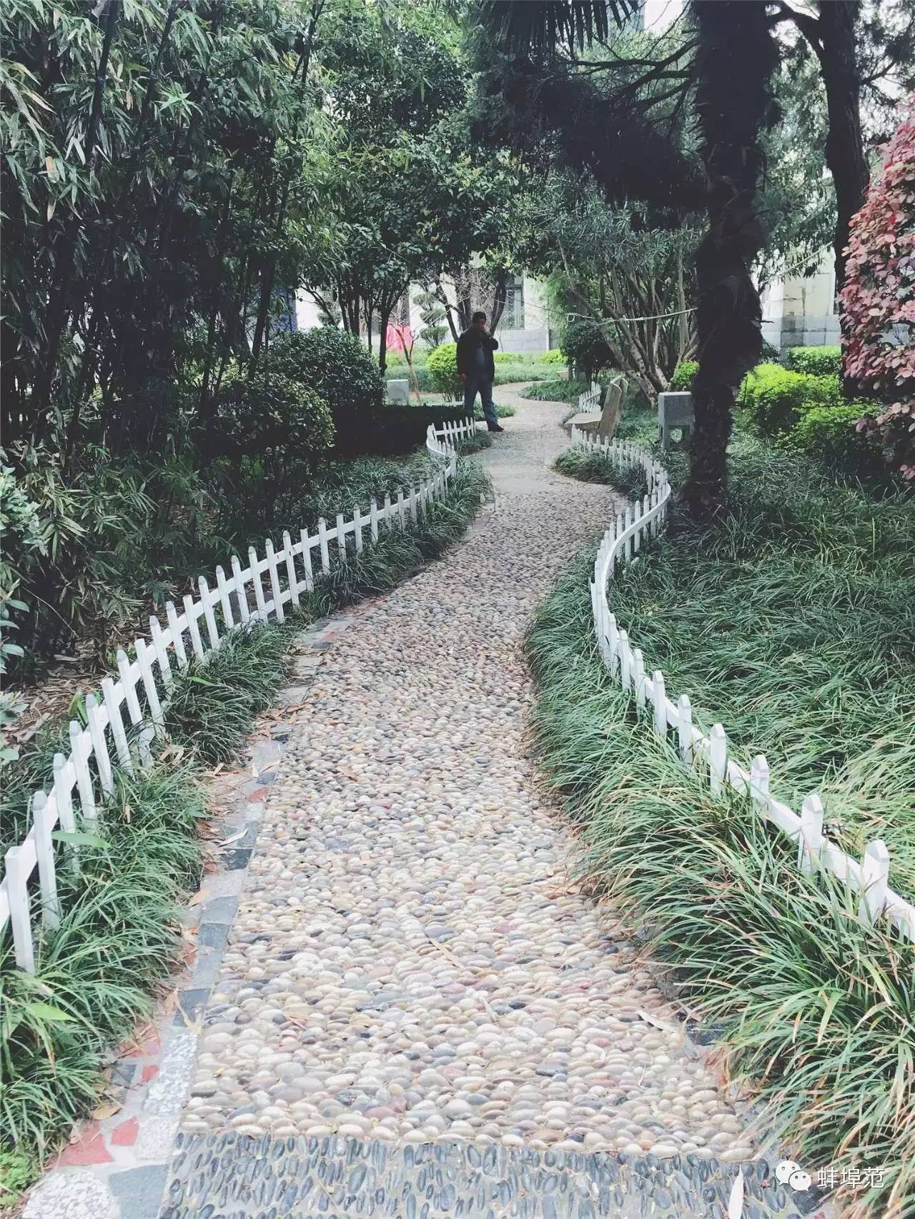 安徽蚌埠最出名的医院,蚌埠淮委医院现在叫什么